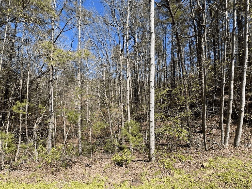 Mountain Creek Hollow - Land