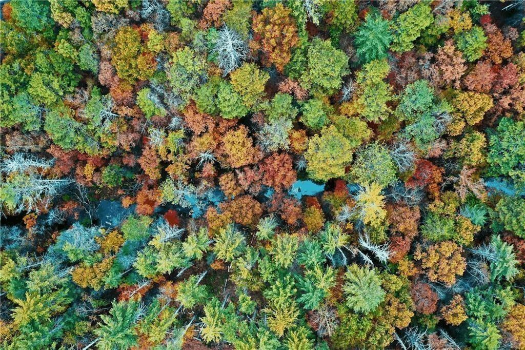 Mountain Creek Hollow - Land