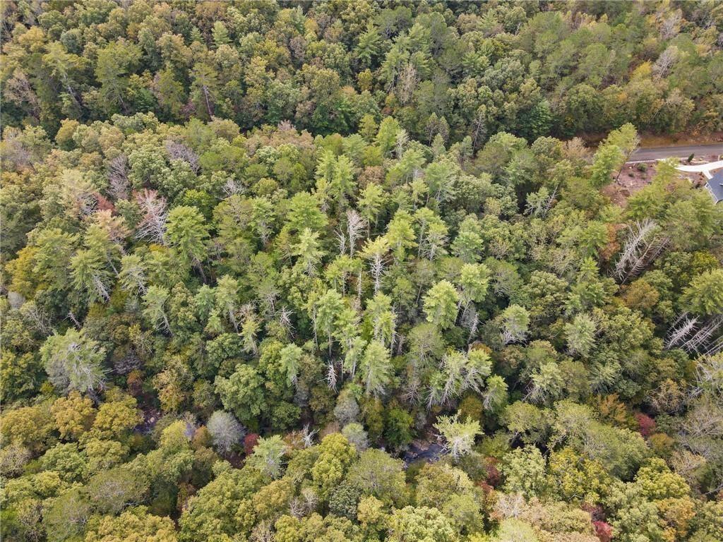 Mountain Creek Hollow - Land