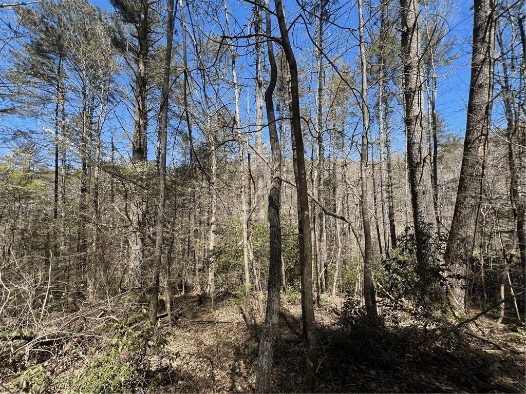 Mountain Creek Hollow - Land