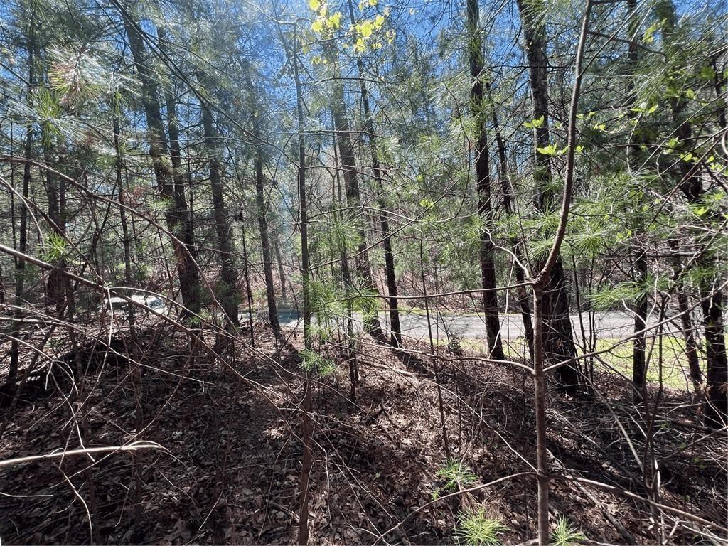 Mountain Creek Hollow - Land