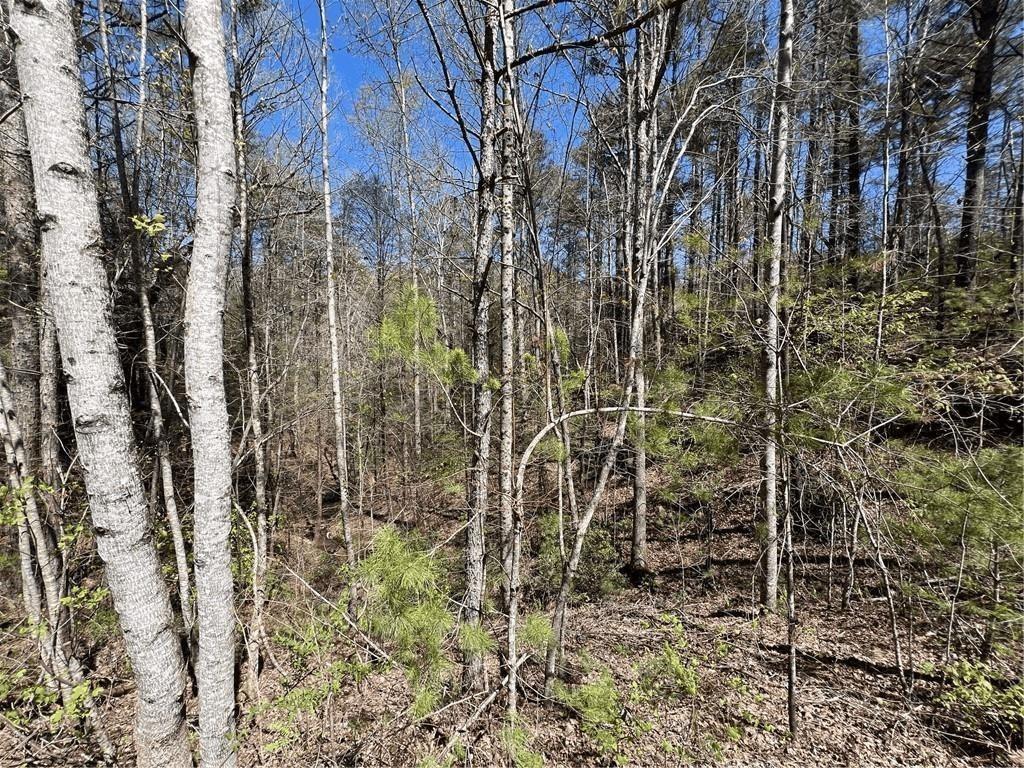 Mountain Creek Hollow - Land