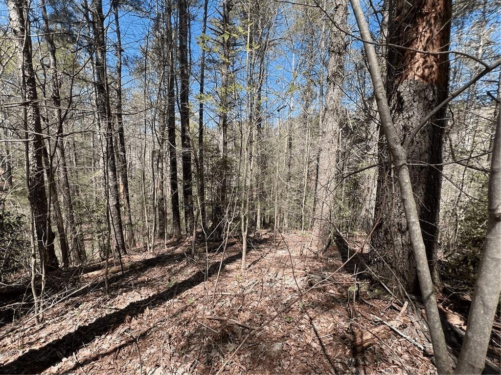 Mountain Creek Hollow - Land