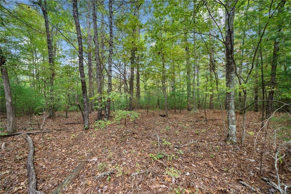 Mountain Creek Hollow - Land