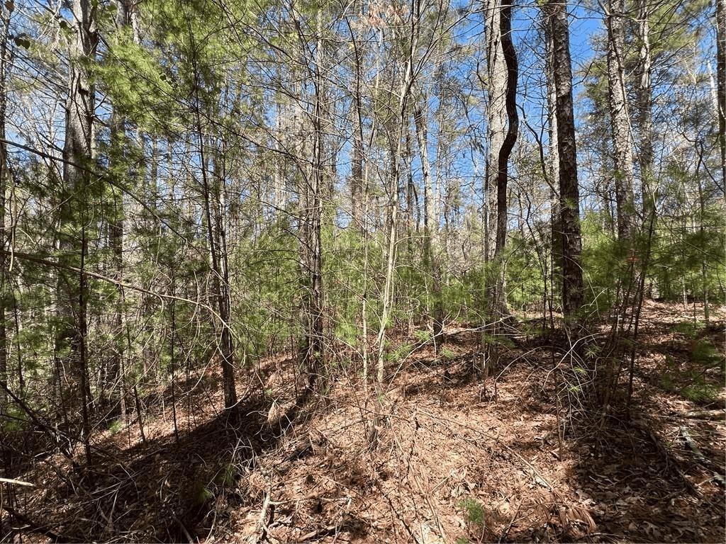 Mountain Creek Hollow - Land