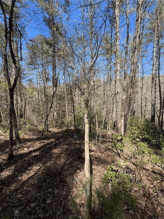 Mountain Creek Hollow - Land