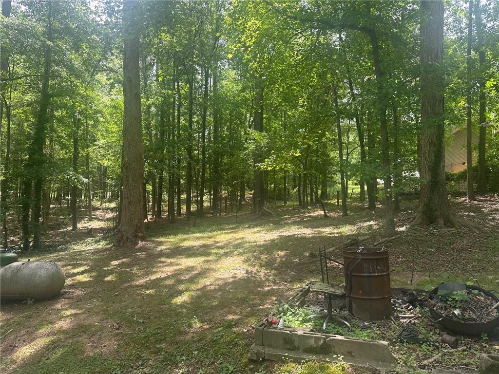 125 Sandy Springs Drive, Athens, Georgia image 8
