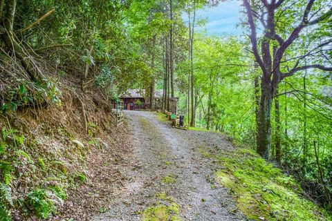 A home in Ellijay