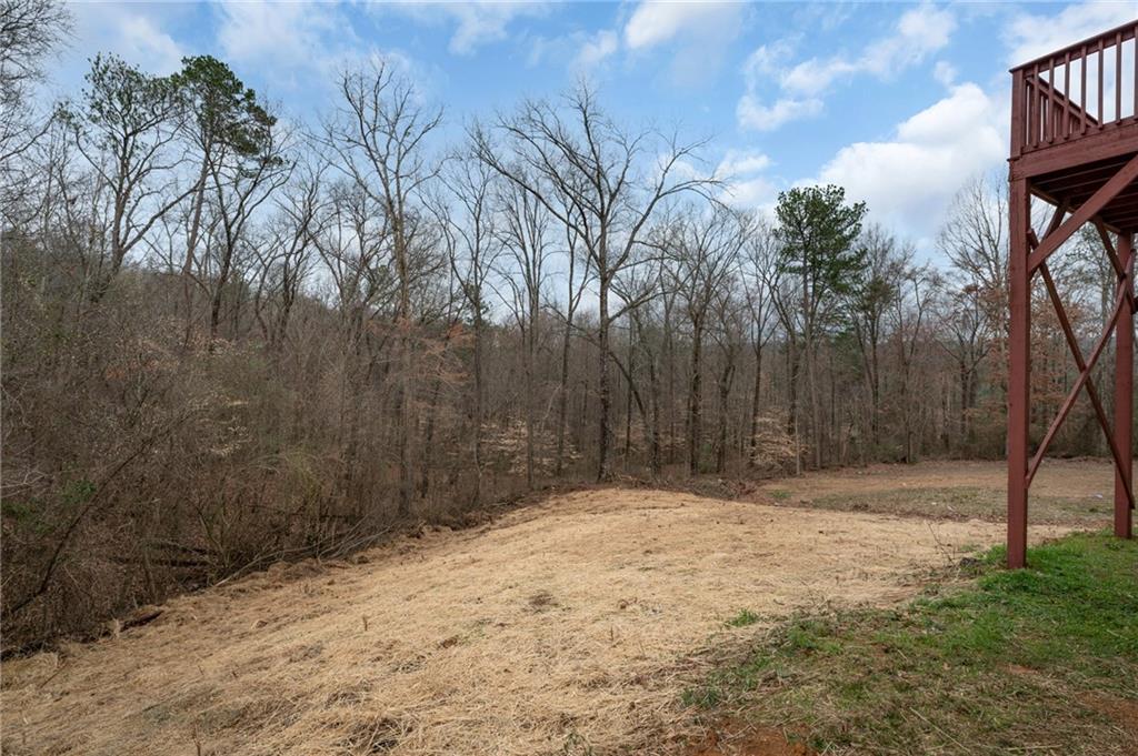4034 Sydney Circle, Dalton, Georgia image 39