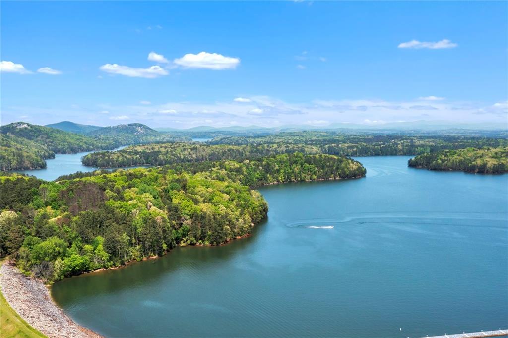 24 Allatoona Landing cabin