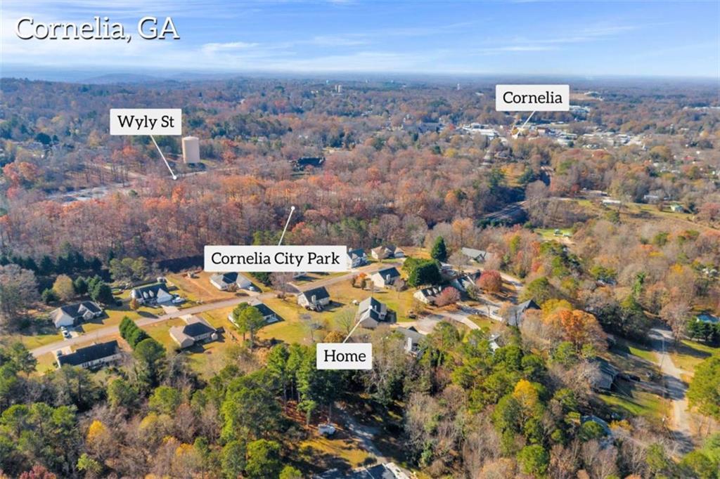 276 Arbor Gate Drive, Cornelia, Georgia image 38