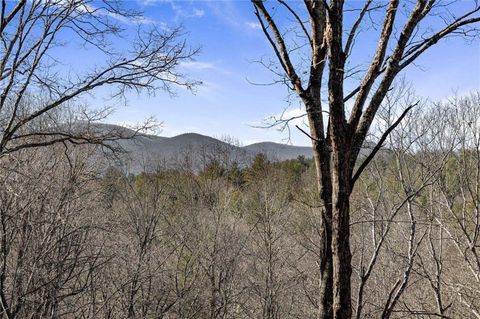 A home in Blue Ridge