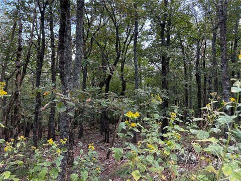 Vacant Land For Sale - Little Hendricks Mountain<br/> Jasper, GA 30143