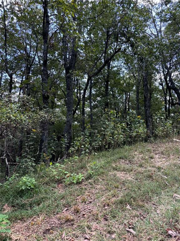 0 Little Hendricks Mountain