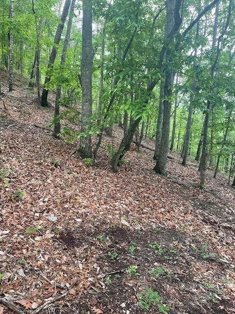 Vacant Land For Sale - 356 Orieole Court<br/> Ranger, GA 30734