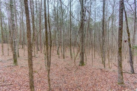 Vacant Land For Sale - Sunshine Road<br/> Franklin County, Toccoa, GA 30577