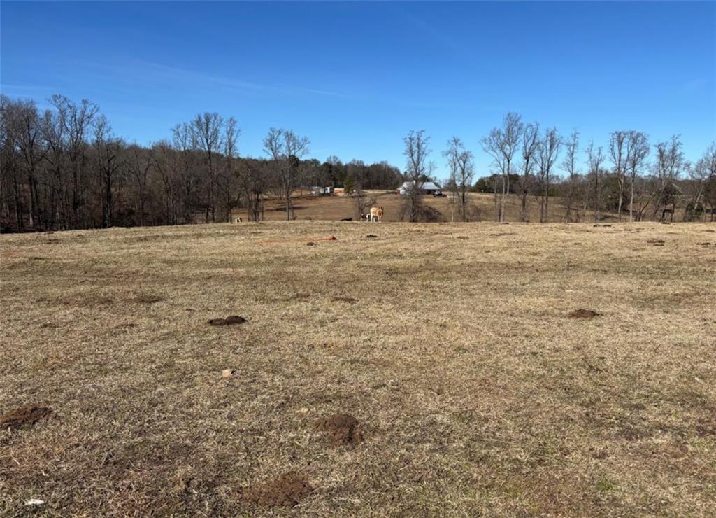 Mountain Creek Church Road, Pendergrass, Georgia image 1