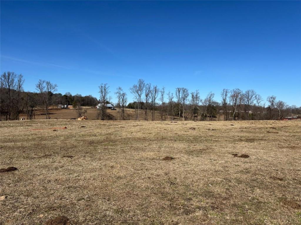 Mountain Creek Church Road, Pendergrass, Georgia image 5