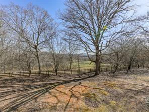 6267 Mount Pisgah Road, Ellijay, Georgia image 3