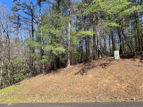 Vacant Land For Sale - Trout Line Court<br/> Talking Rock, GA 30175