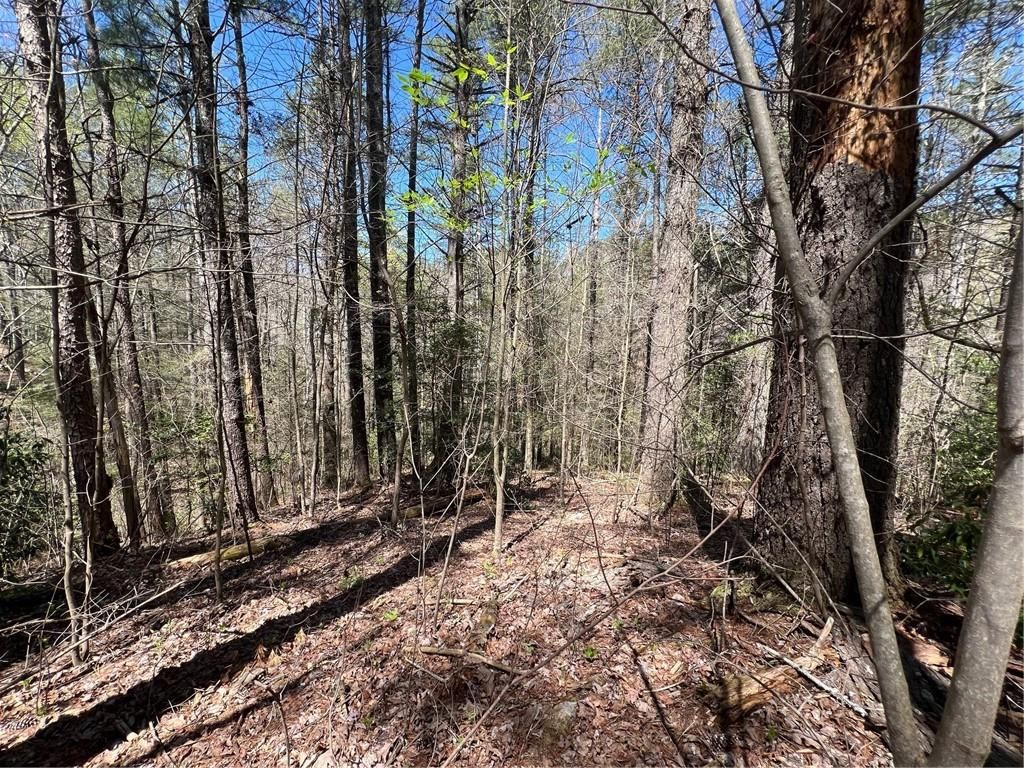 Photo of 0 Trout Line Court, Talking Rock, GA 30175 (MLS # 7700997)