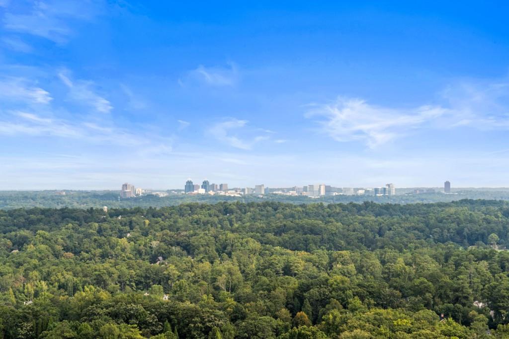 3630 Peachtree Road #2009, Atlanta, Georgia image 28