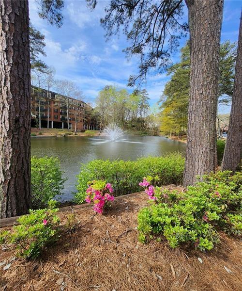 23311 PLANTATION Drive NE