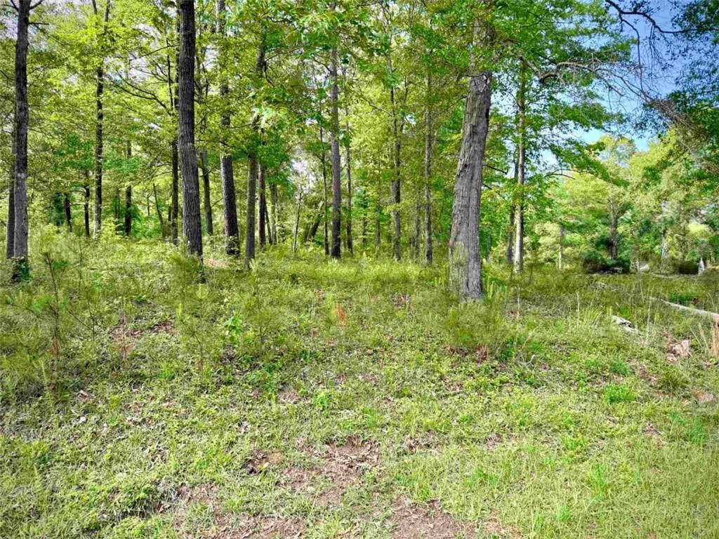 Possum Point Drive, Eatonton, Georgia image 2