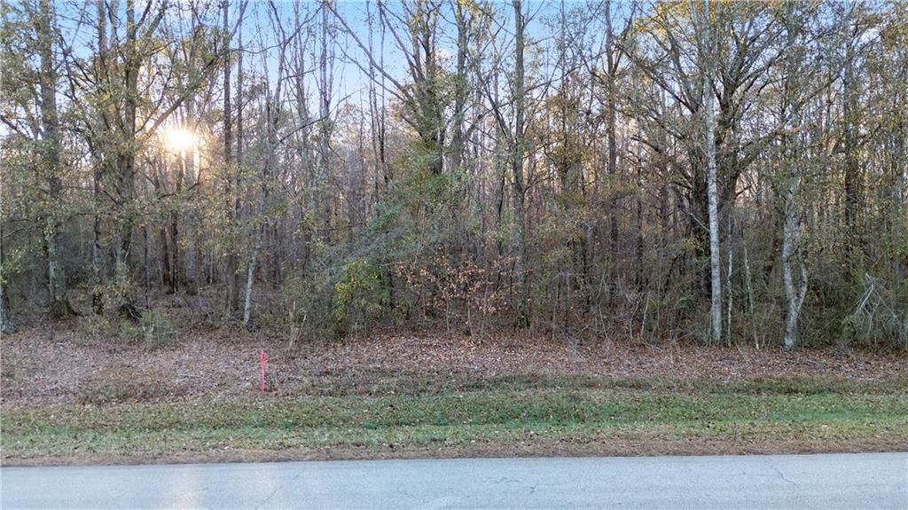 Photo of 160 Old Sandhill Road, Carrollton, GA 30116 (MLS # 7685343)