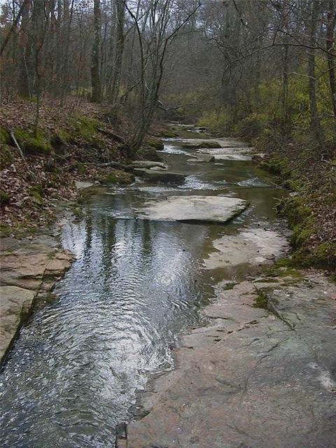 Vacant Land For Sale - 0000 Rabbit Farm Road<br/> Walton County, Loganville, GA 30052