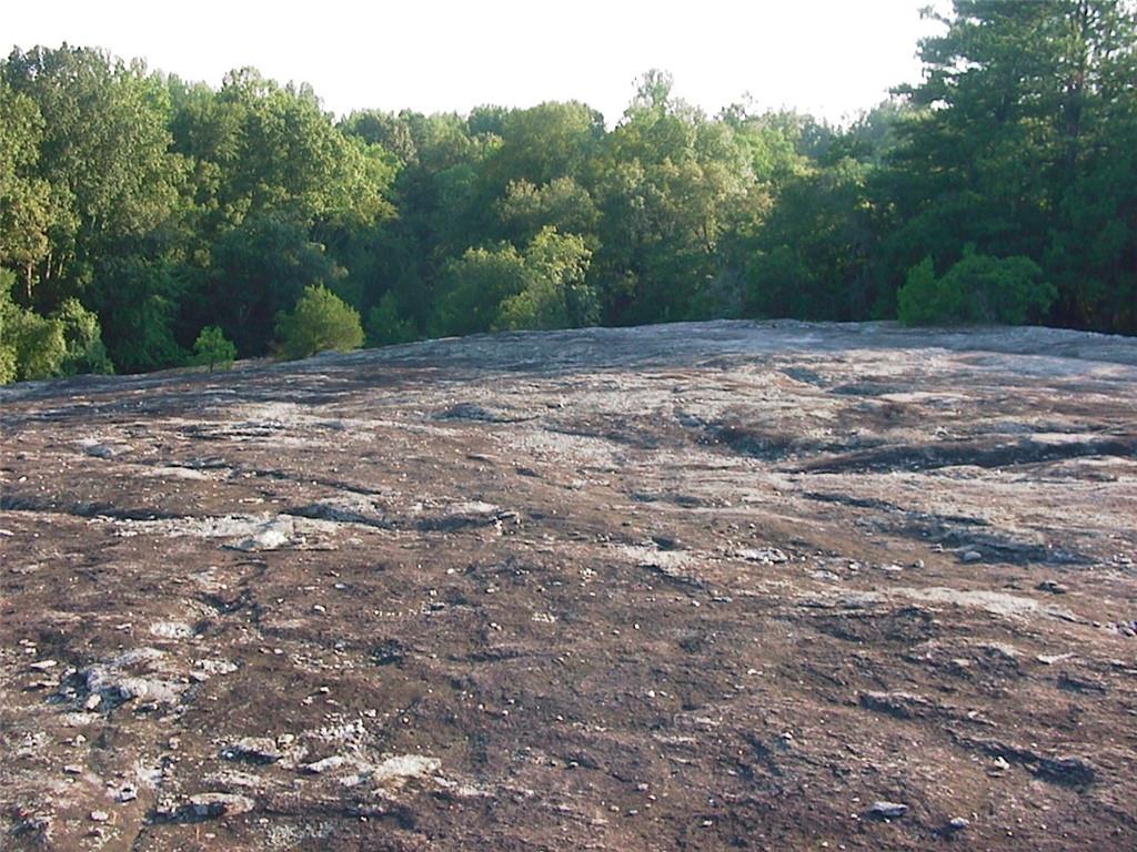 4966 Rabbit Farm Road