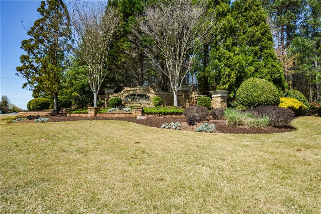 303 Dexter Drive, Woodstock, Georgia image 28