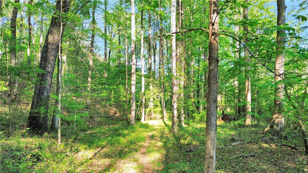 00 Flanagan Mill Road, Auburn, Georgia image 7