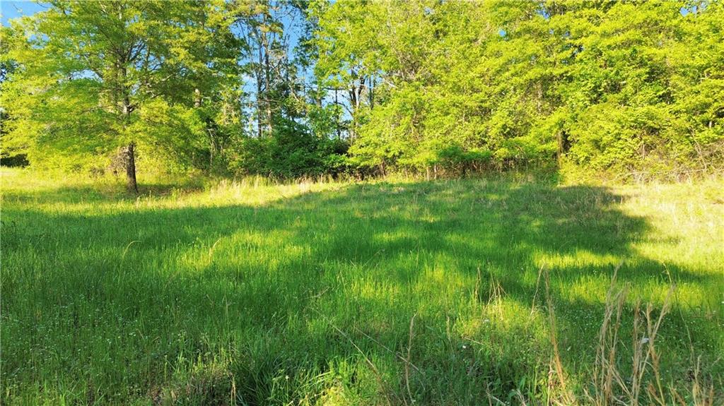 00 Flanagan Mill Road, Auburn, Georgia image 15