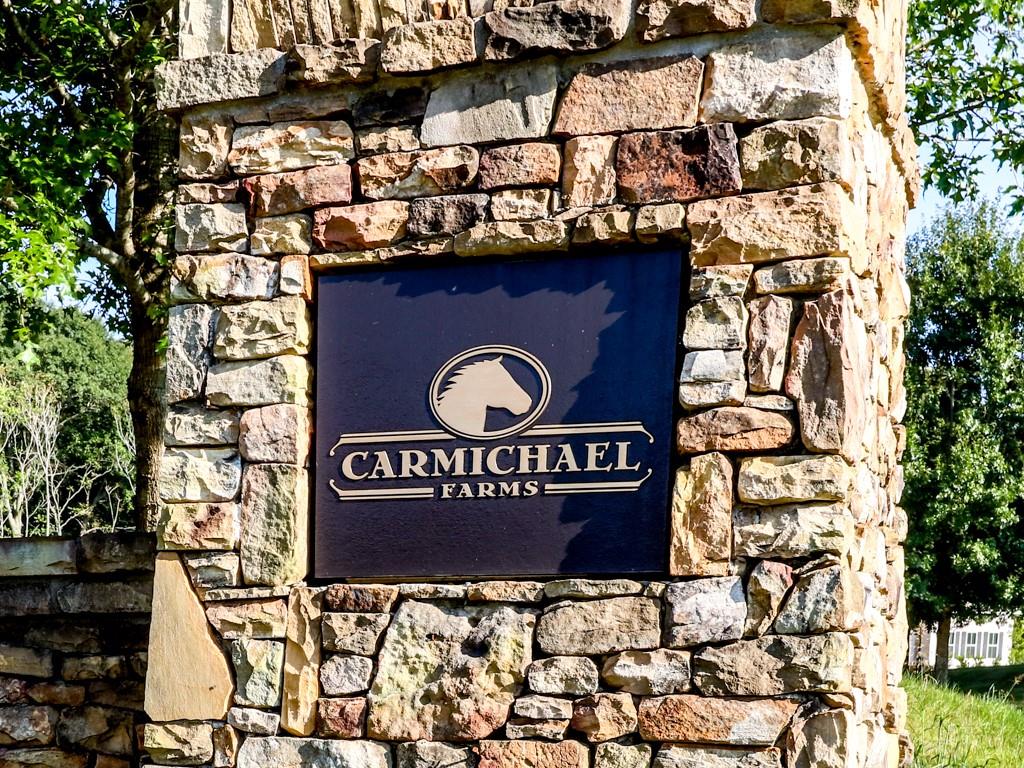 449 Carmichael Circle, Canton, Georgia image 47