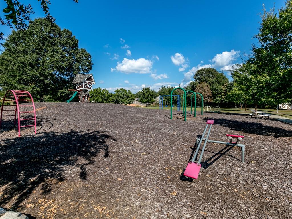449 Carmichael Circle, Canton, Georgia image 45