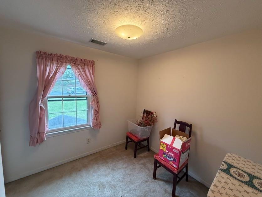 3233 Bolero Pass, Atlanta, Georgia image 17