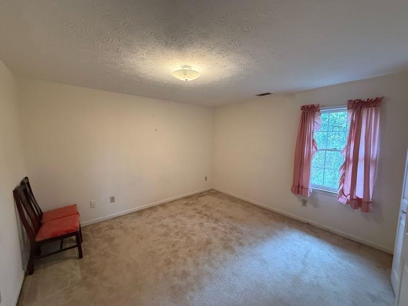 3233 Bolero Pass, Atlanta, Georgia image 15