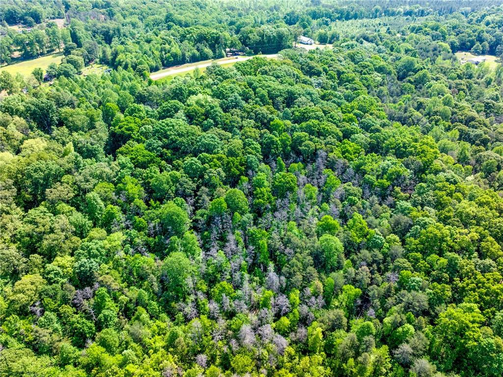 5419 Highway 320 Road, Carnesville, Georgia image 9