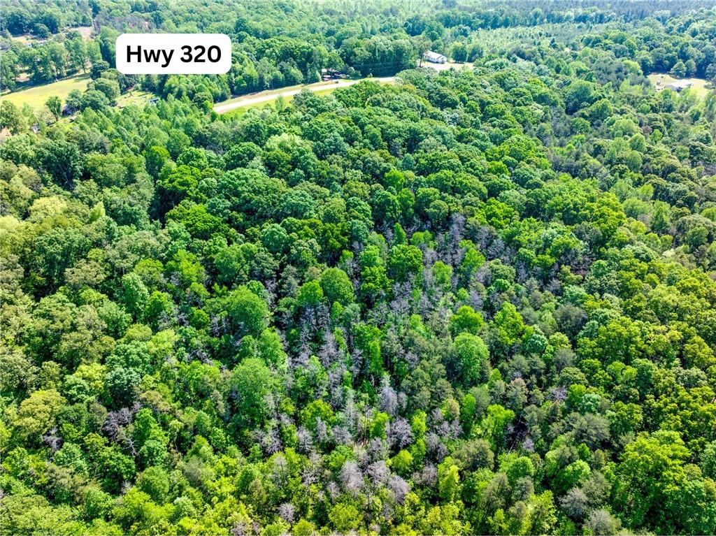 5419 Highway 320 Road, Carnesville, Georgia image 8