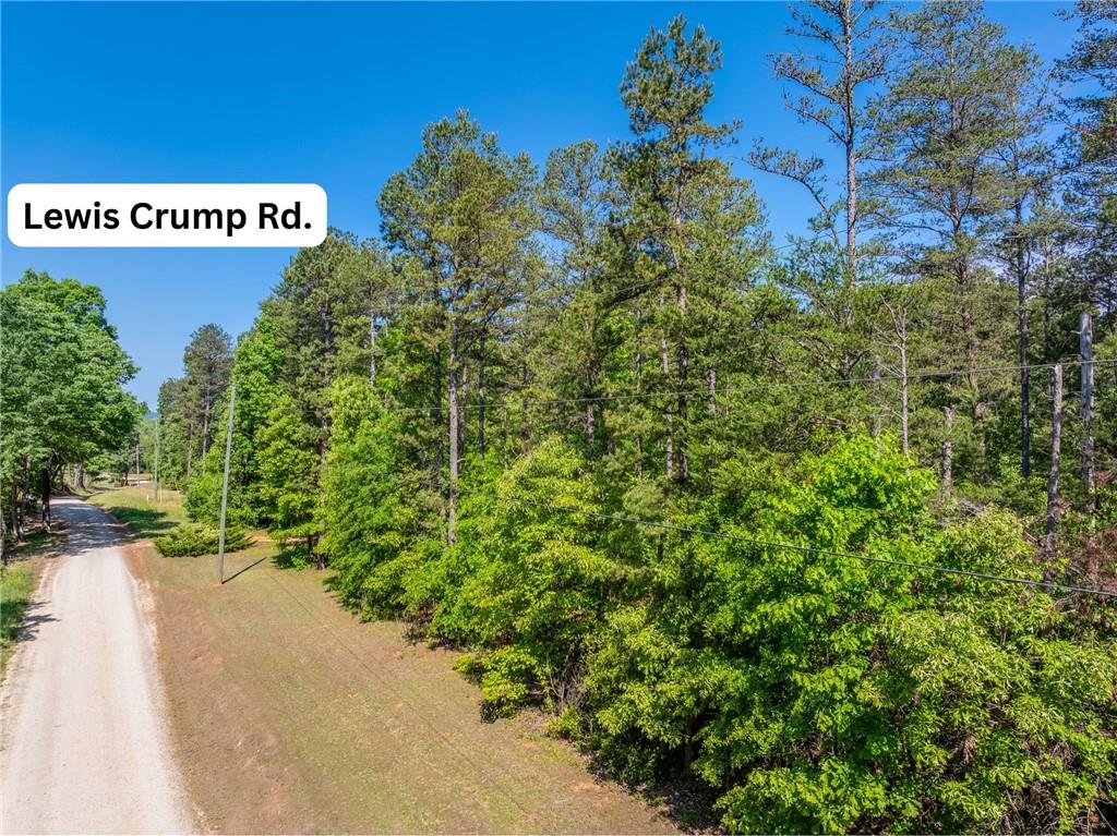 5419 Highway 320 Road, Carnesville, Georgia image 34