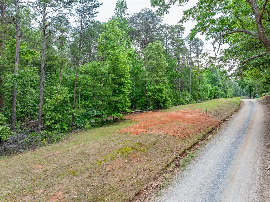 5419 Highway 320 Road, Carnesville, Georgia image 35