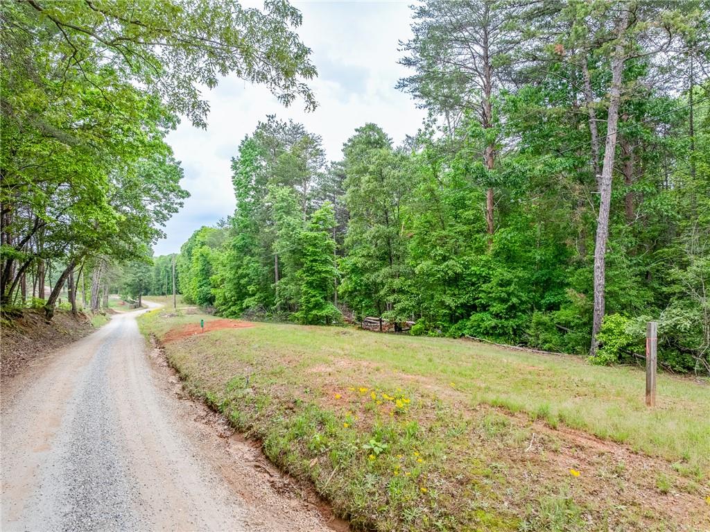 5419 Highway 320 Road, Carnesville, Georgia image 36
