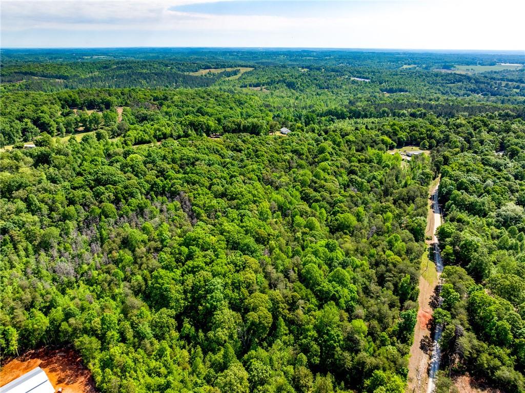 5419 Highway 320 Road, Carnesville, Georgia image 33