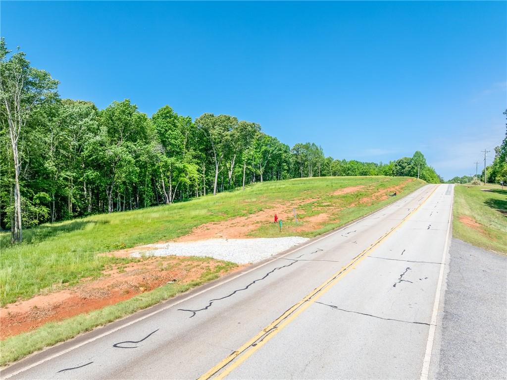 5419 Highway 320 Road, Carnesville, Georgia image 17