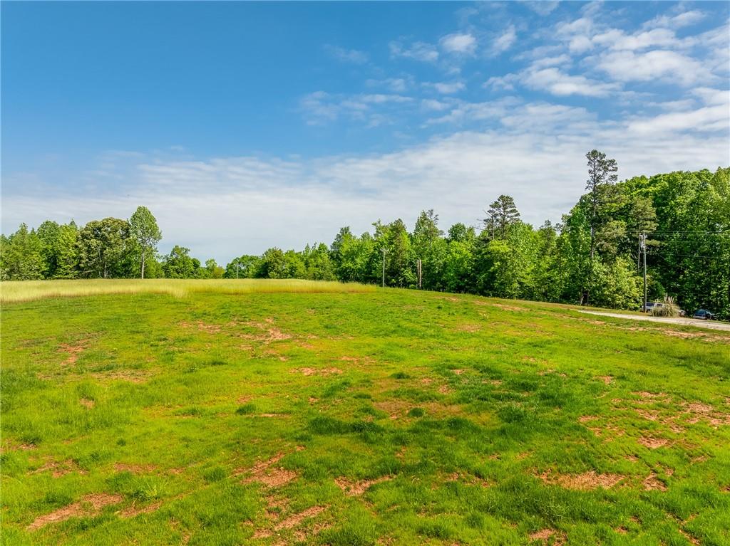 5419 Highway 320 Road, Carnesville, Georgia image 20