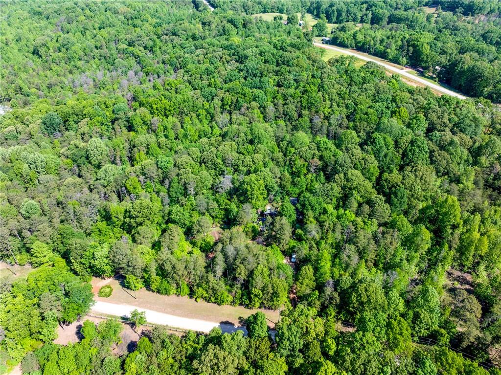 5419 Highway 320 Road, Carnesville, Georgia image 10