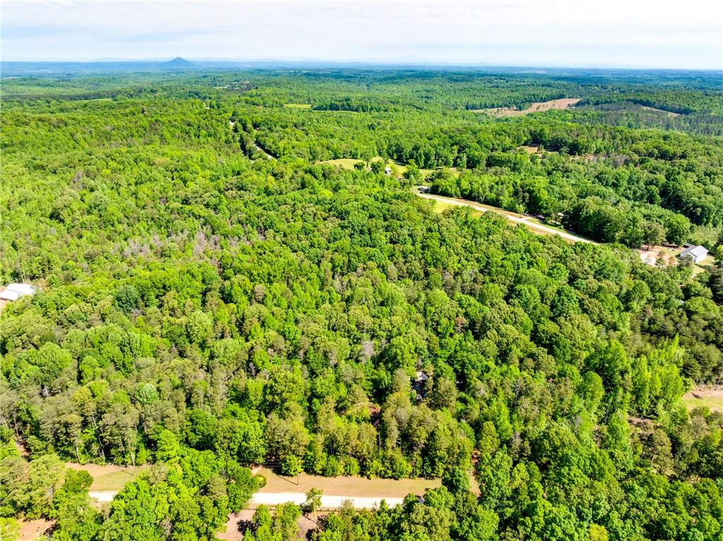 5419 Highway 320 Road, Carnesville, Georgia image 37