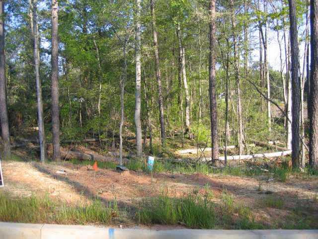 Photo 1 of 1 — 105 Shoal Creek Drive, Roswell, GA 30075
