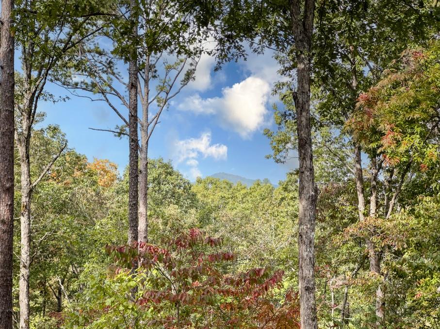 111 Watkins Farm Road